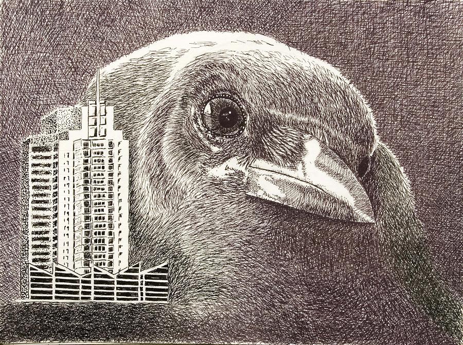 Animal Drawing - Crow over casino windsor by Wade Clark