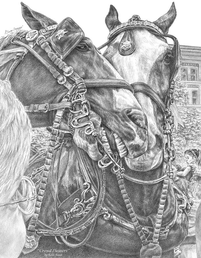 Crowd Pleasers - Clydesdale Draft Horse Art Print Drawing by Kelli Swan