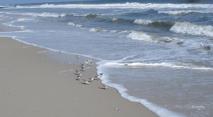 Crowded Day at the Beach Photograph by Judith Rhue