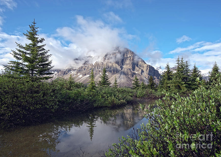 Crowfoot Mountain Reflection Photograph by Shannon Carson