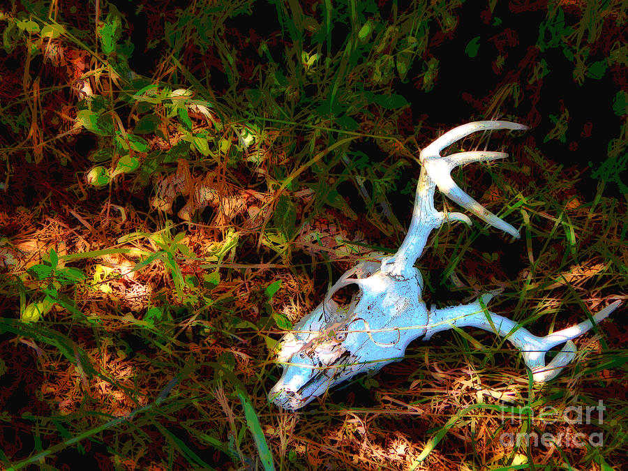 Deer Digital Art - Crown of a Fallen Prince by Bryan Atneosen