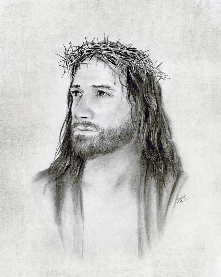 Crown of Thorns Drawing by Brent Borup