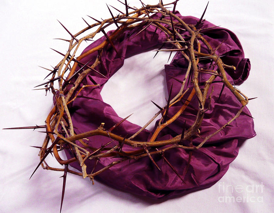 Crown Of Thorns Photograph by Jasna Dragun