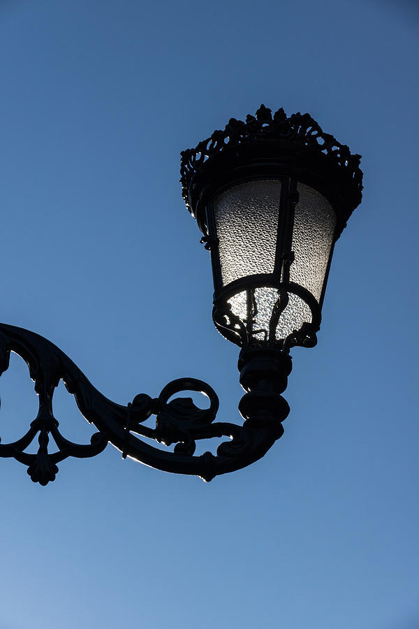 Crowned Lantern - Right Photograph by Georgia Mizuleva