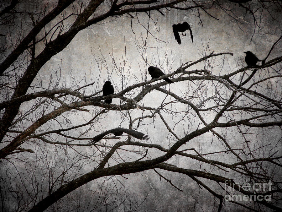 Crows at Midnight Photograph by Angie Rea