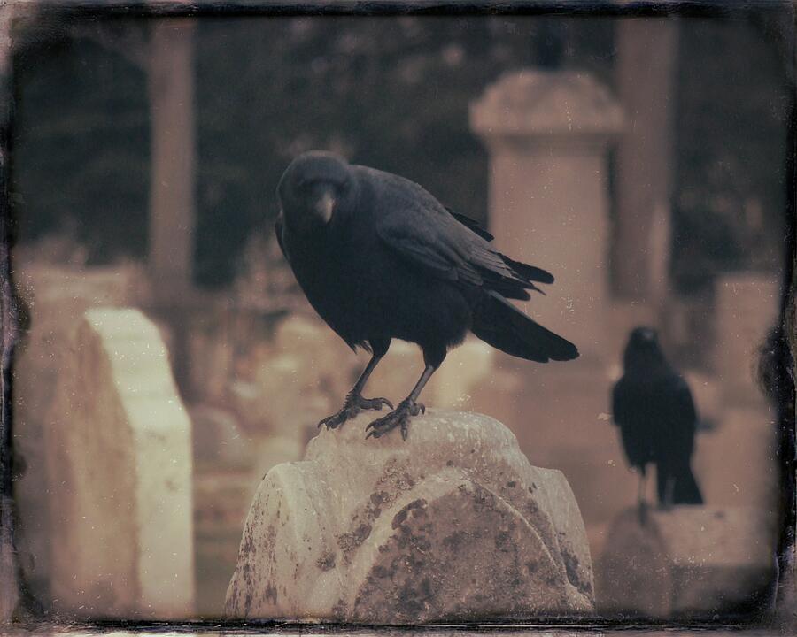 Sepia Crows Atop Tombstones Photograph by Gothicrow Images - Fine Art ...