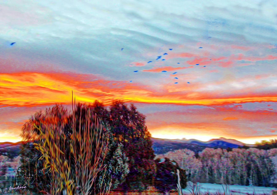 Crows Before Dawn El Valle New Mexico Photograph by Anastasia Savage Ealy