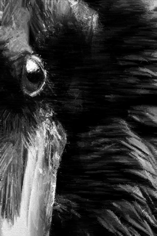 Crows Eye Digital Art by Andrea Barbieri