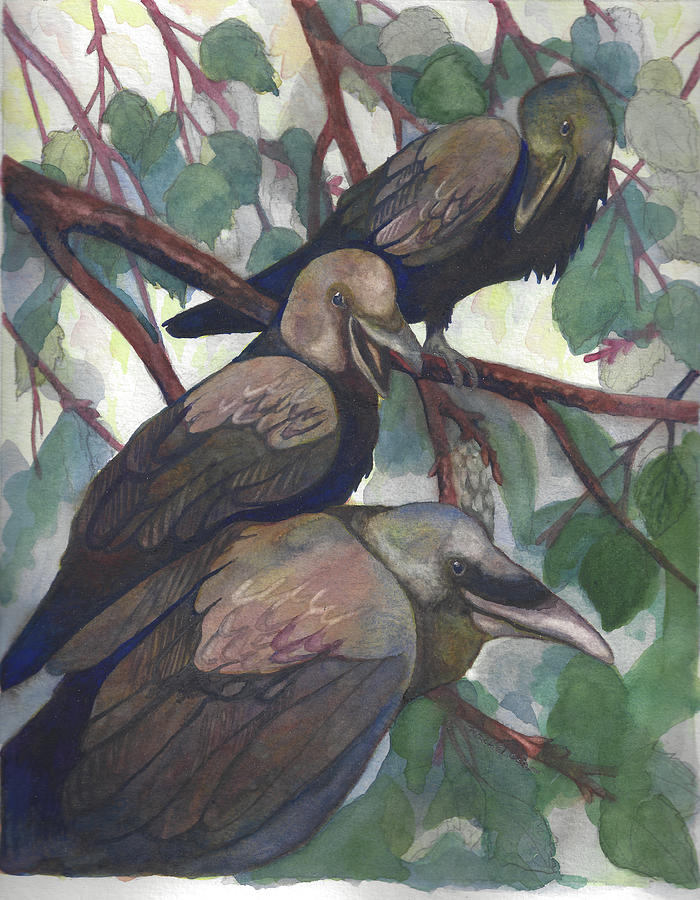 Crow Painting - Crows by Rachel Osteyee