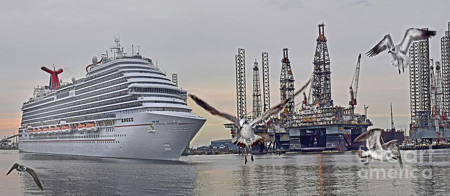 Seagull Photograph - Cruise ship departing by Calvin Wehrle