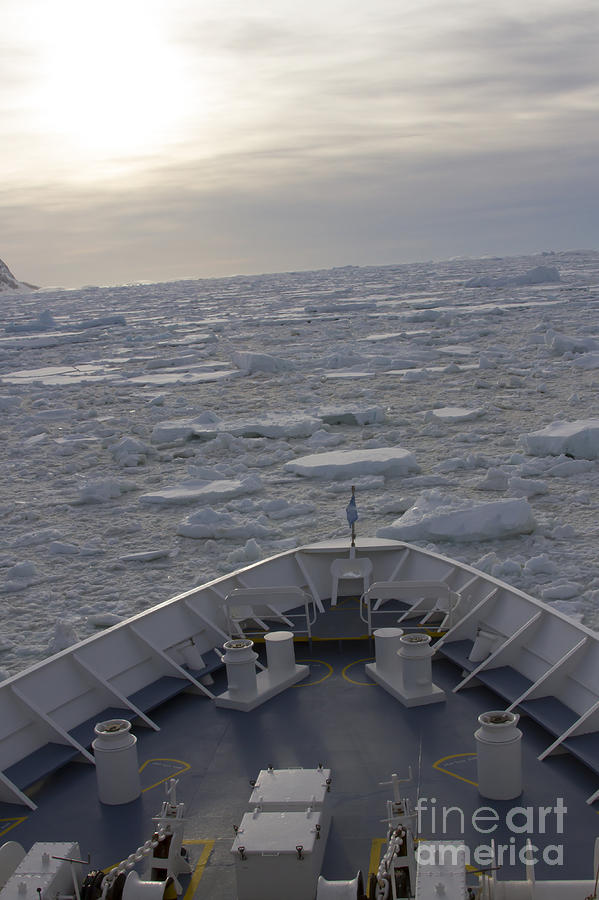 Cruise ship in ice field Photograph by Karen Foley