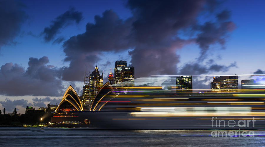 Cruise ship Sydney Harbour Photograph by Andrew Michael