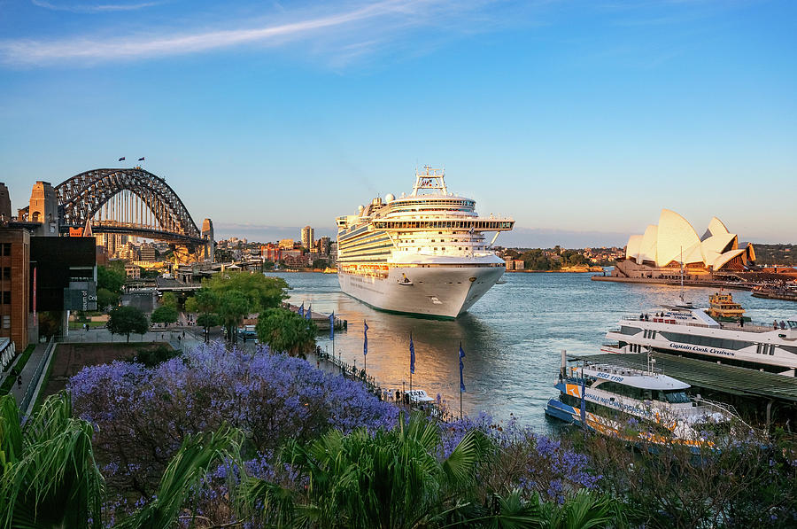 what cruise ship is in sydney