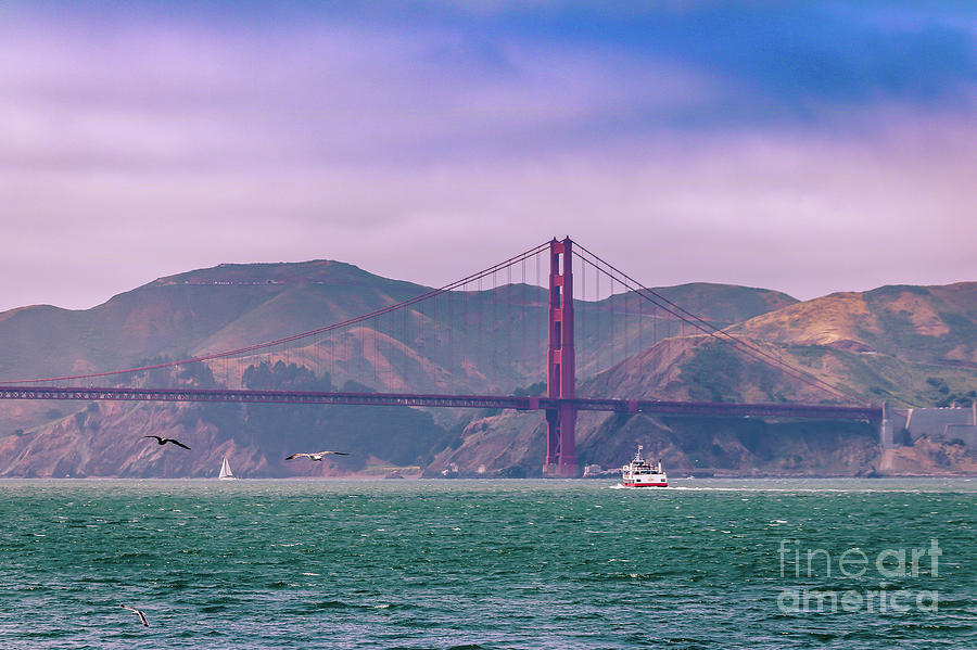 Cruising at Golden Gate bridge Photograph by Claudia M Photography