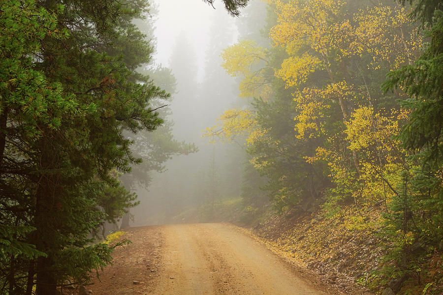 Cruising Into Autumn Fog Photograph by James BO Insogna