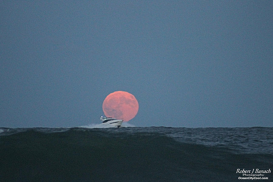 Cruising On A Wave During Harvest Moon Photograph by Robert Banach