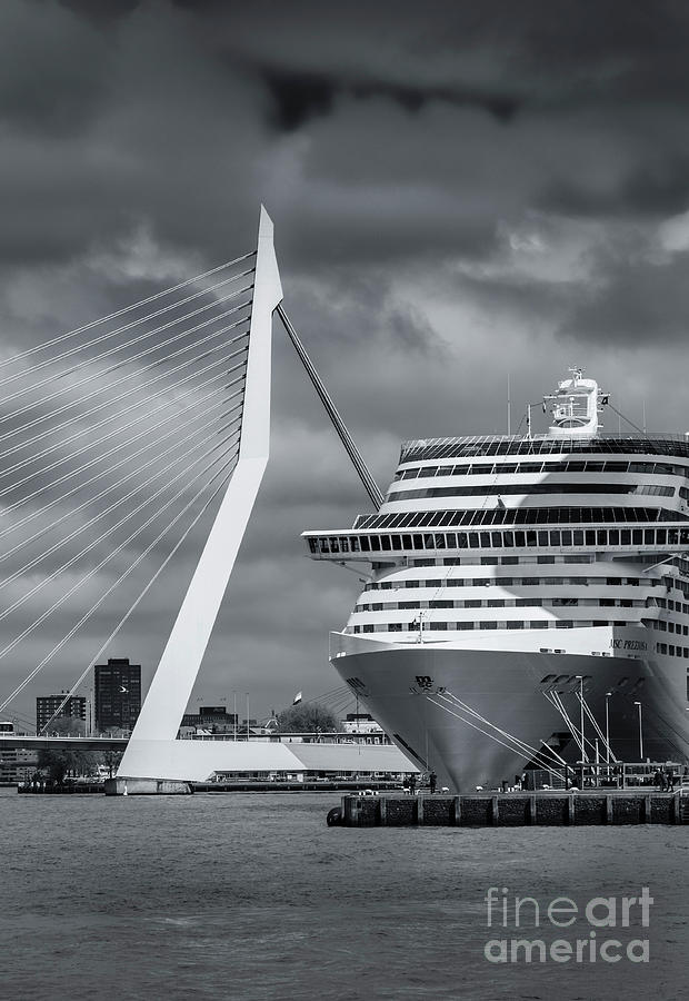 Cruising, Rotterdam, The Netherlands Photograph by Philip Preston