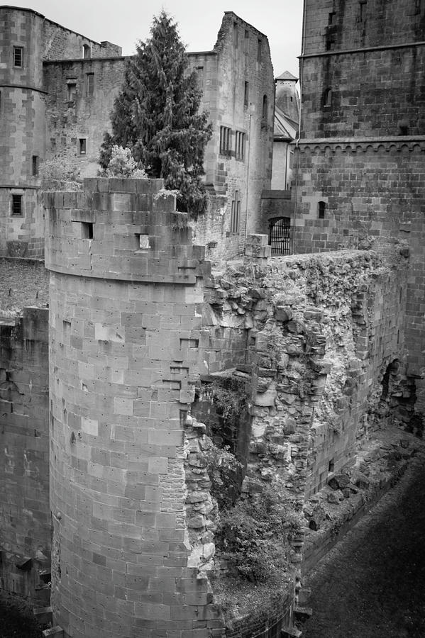 Crumbling Prison Tower Heidelberg Castle  B W Photograph by Teresa Mucha