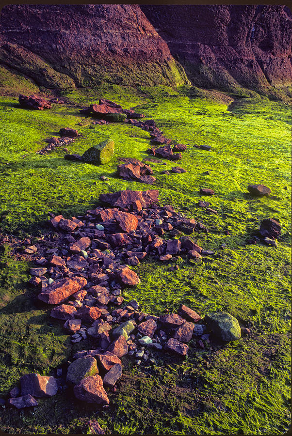 Crumbling Rocks Photograph by Irwin Barrett