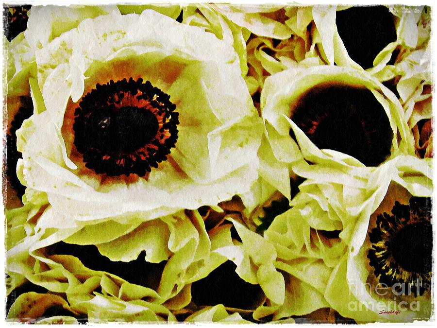 Crumpled White Poppies Photograph by Sarah Loft