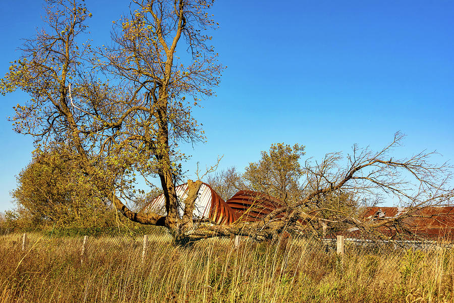 Crushed Quonset Photograph by Steve Harrington