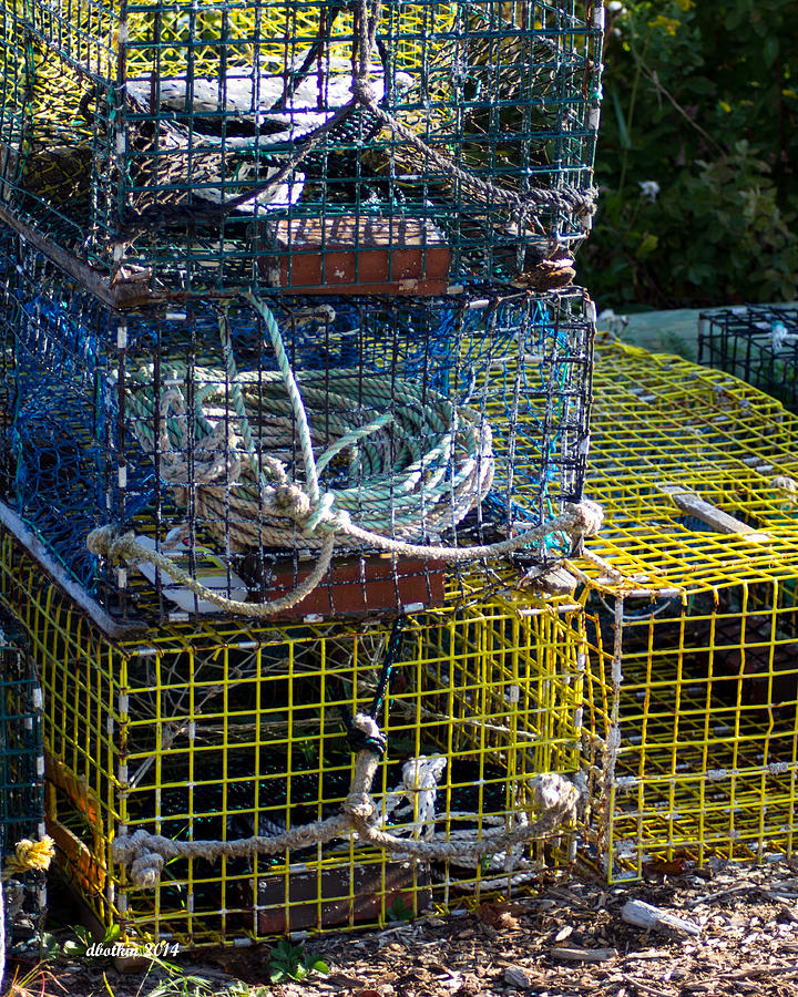 Lobster Traps #1 Photograph by Dick Botkin