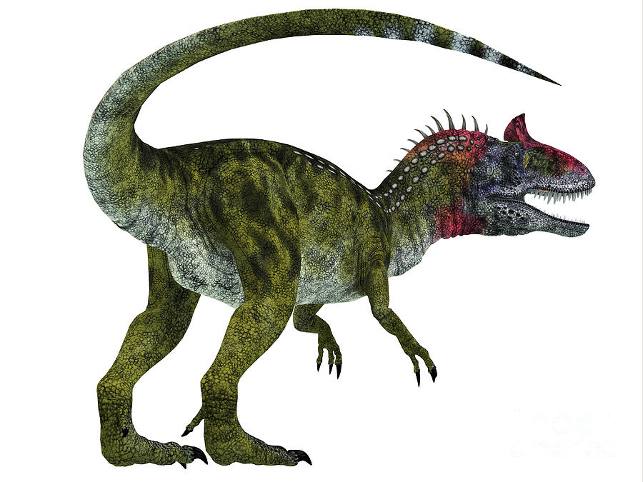 dinosaur with flat tail