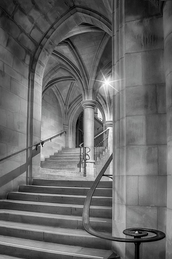 Crypt Stairs  Photograph by Harriet Feagin