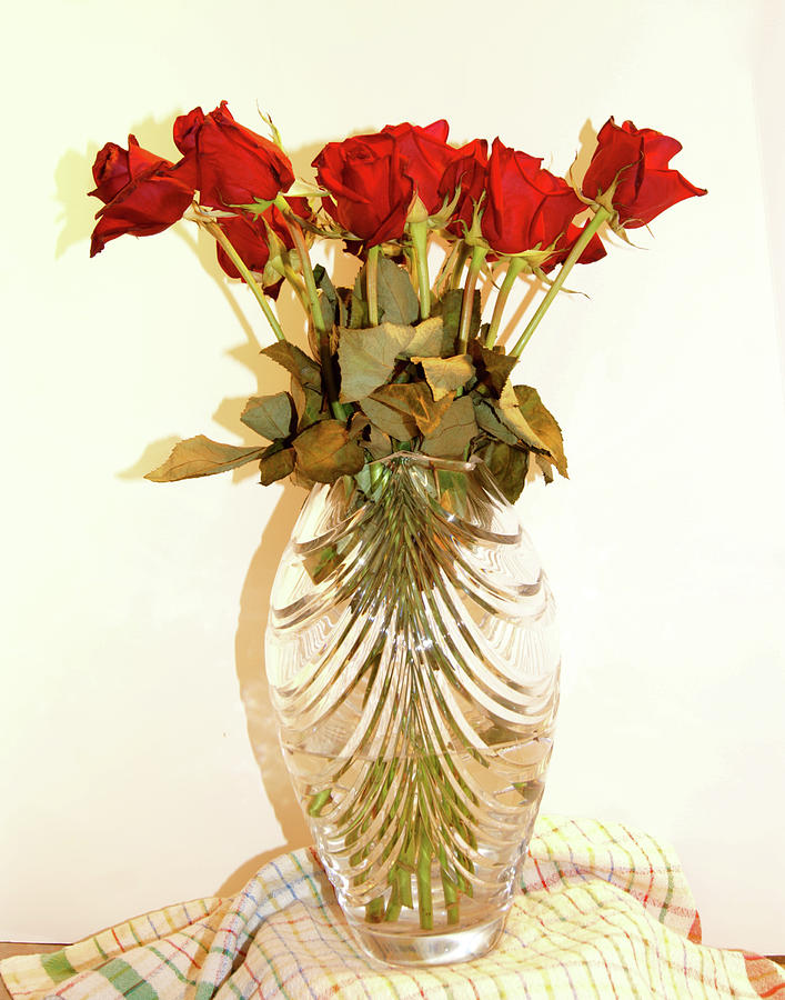 Crystal and Red Roses Photograph by Margie Avellino