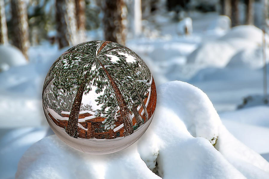 Crystal Ball Photograph by Maria Coulson