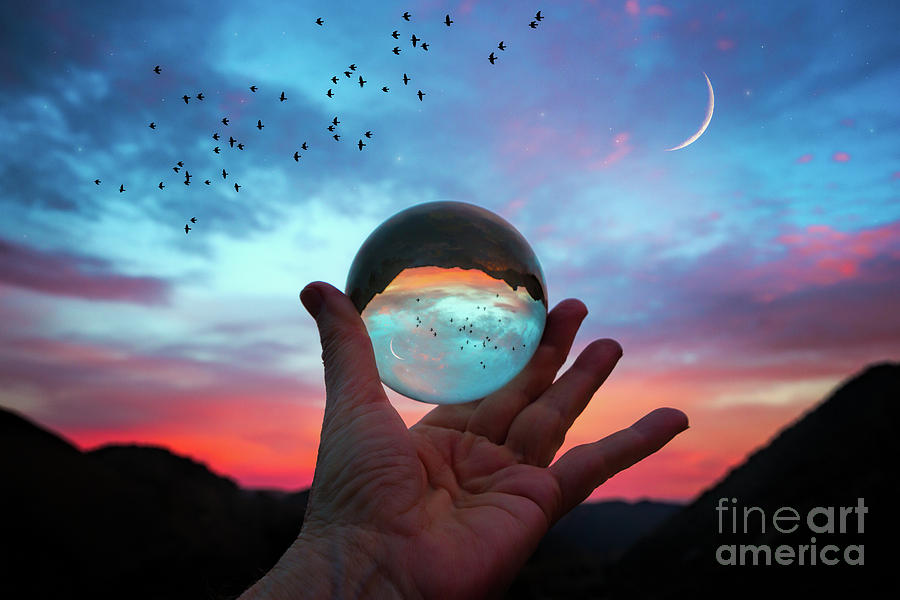Crystal Ball Photograph by Mimi Ditchie