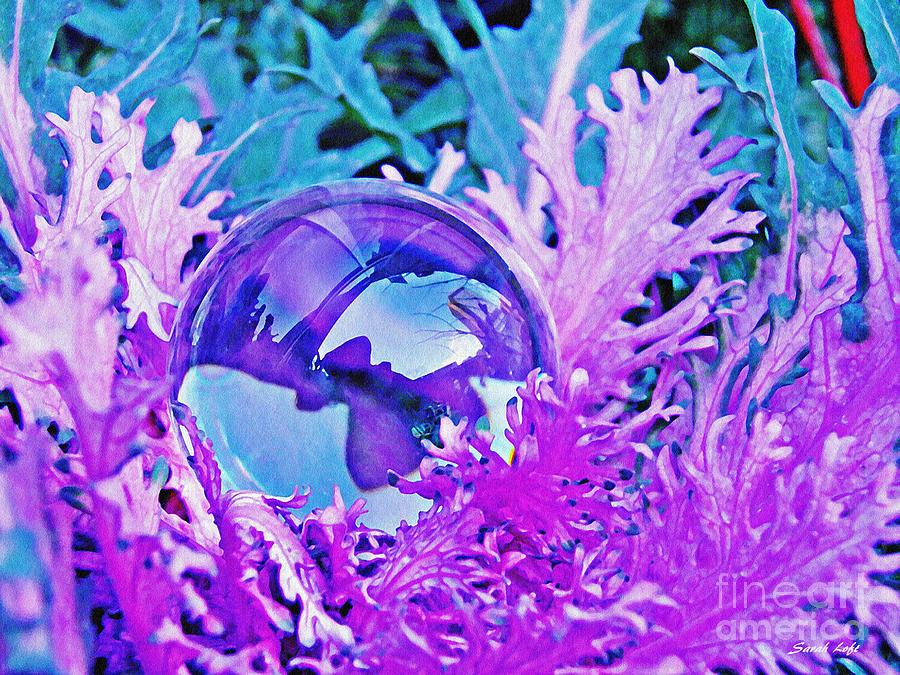 Crystal Ball Project 66 Photograph by Sarah Loft