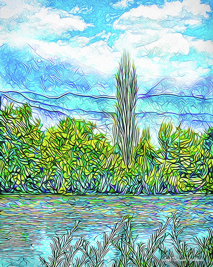 Crystal Blue Day - Lake And Mountains In Boulder County Colorado Digital Art by Joel Bruce Wallach