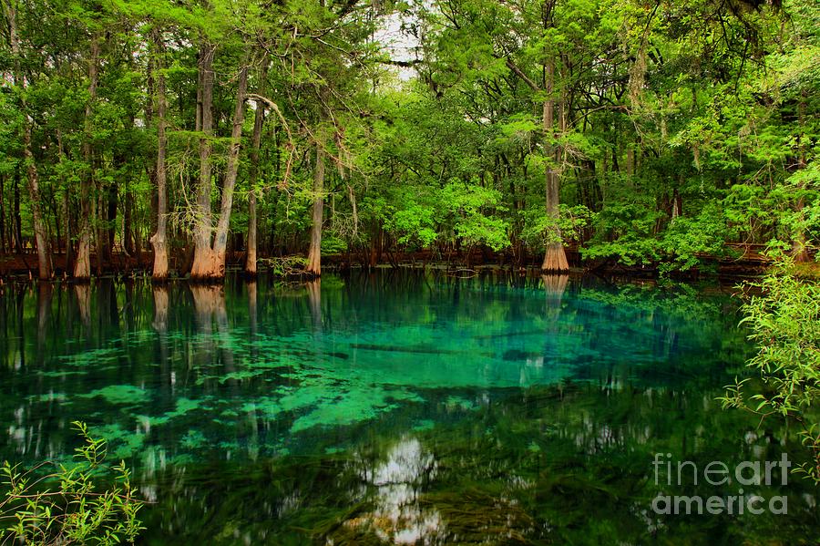 Manatee Spring Photograph - Crystal Blue Manatee Spring Waters by Adam Jewell