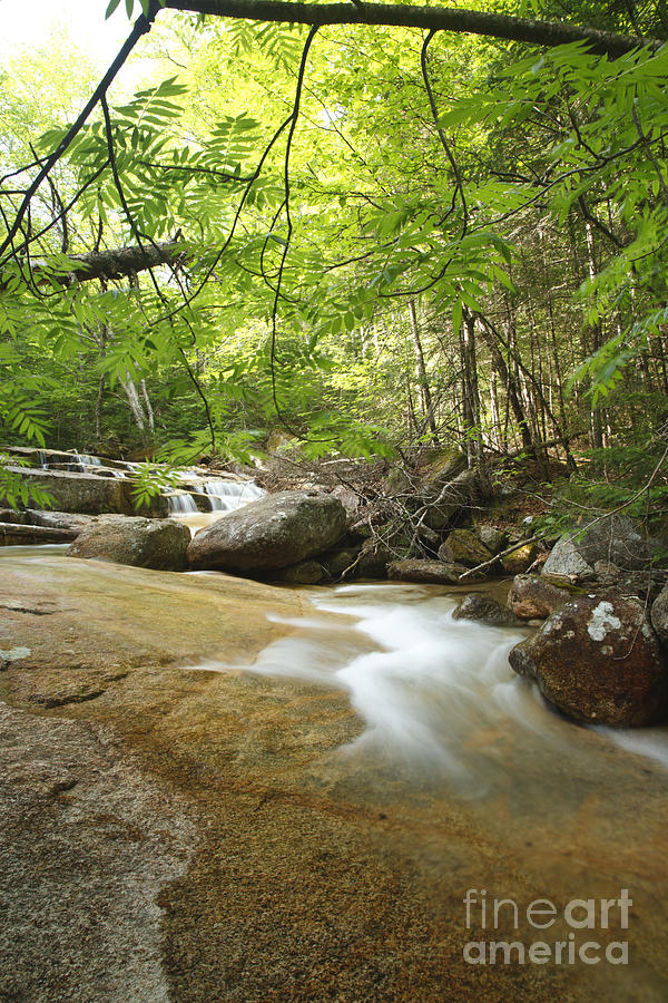 Crystal Brook - Lincoln New Hampshire USA Photograph by Erin Paul Donovan