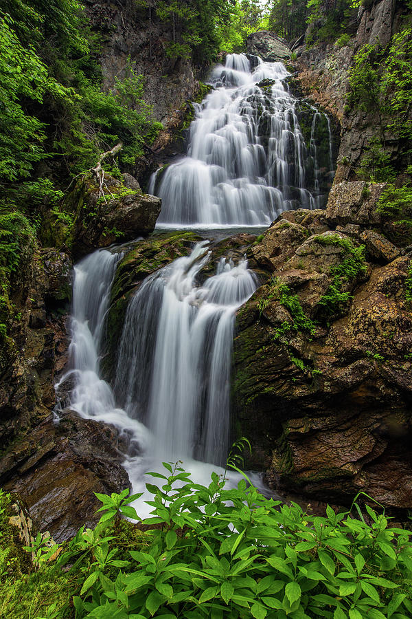 Crystal Cascade Summer Photograph by White Mountain Images