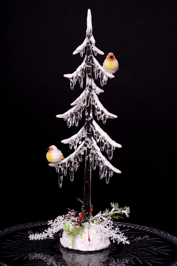 Crystal Christmas Tree Photograph by Paul Moore - Fine Art America