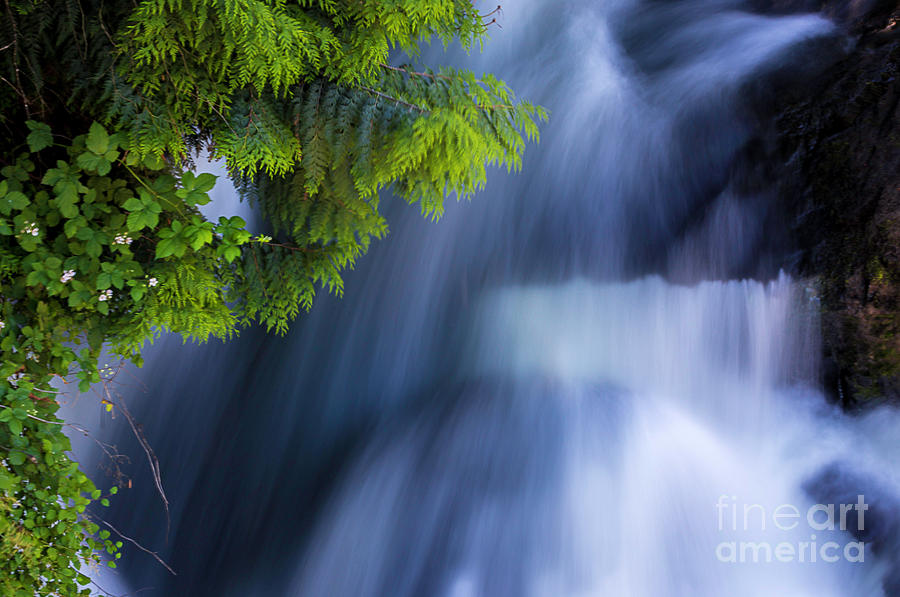 Crystal Creek Waterfalls Photograph by Sal Ahmed