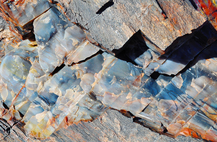Crystal Forest Petrified Wood Macro Photograph by Kyle Hanson