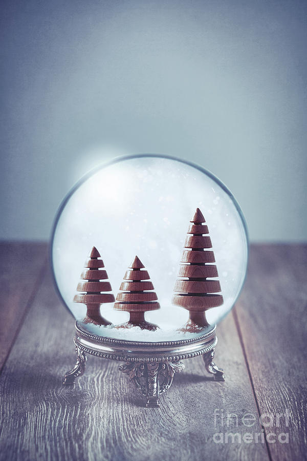 Tree Photograph - Crystal Globe With Wooden Trees by Amanda Elwell