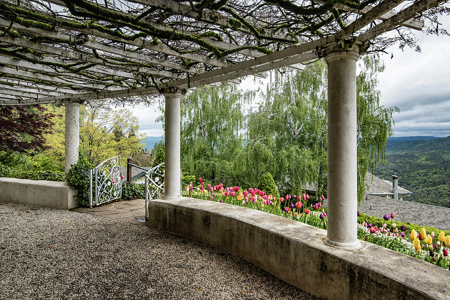 Crystal Hermitage Colonnade 5869 Photograph by Janis Knight