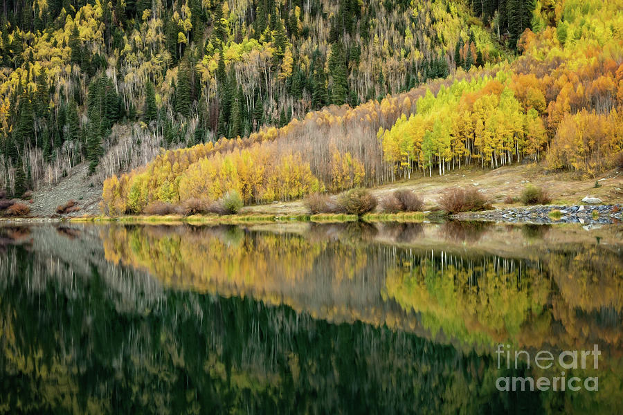 Crystal Lake Reflections Photograph by Doug Sturgess