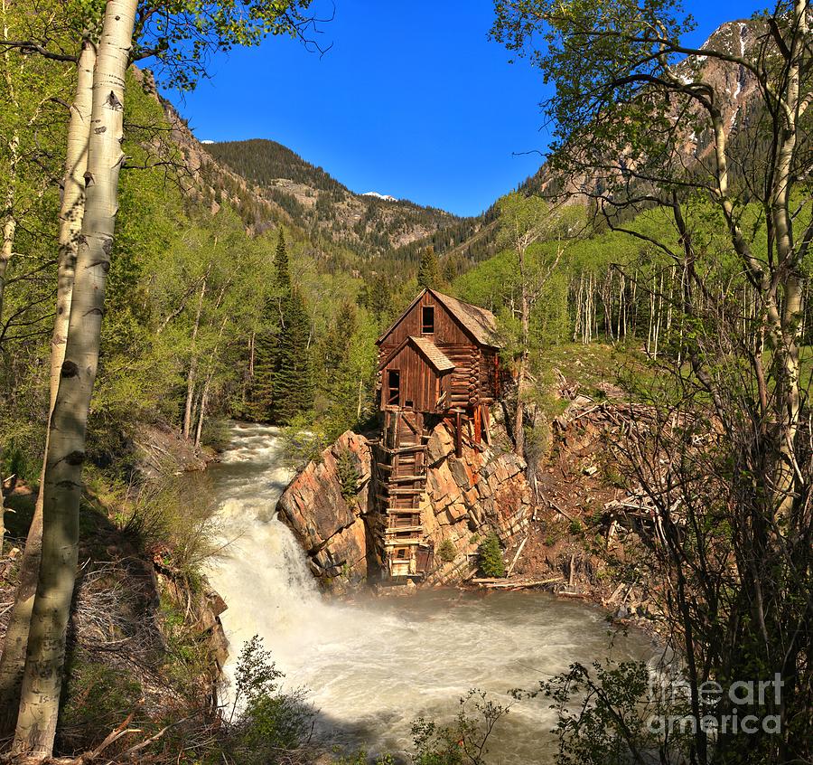 Crystal Mill Through The Trees Photograph by Adam Jewell