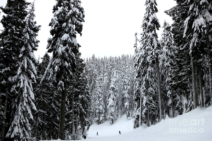 Crystal Mountain Skiing 2 Photograph by Tatyana Searcy