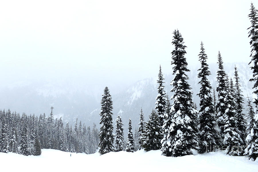 Crystal Mountain Skiing Photograph by Tatyana Searcy