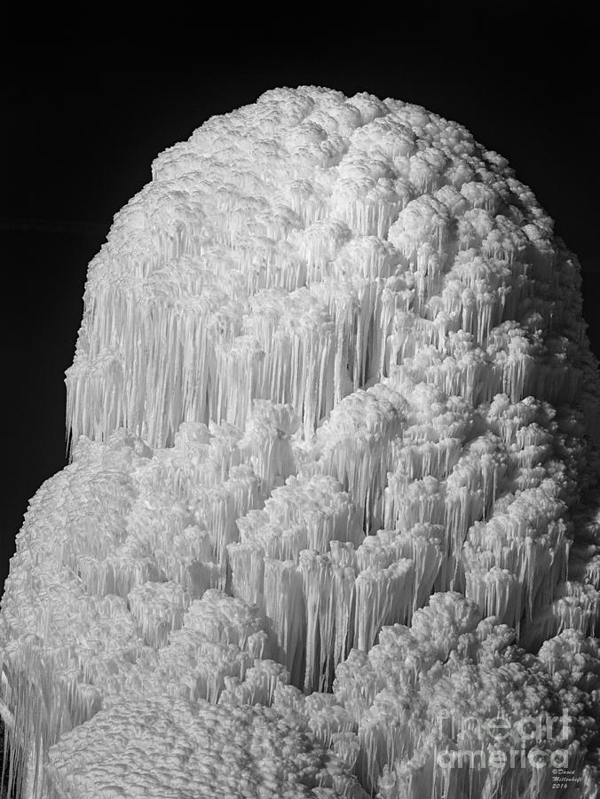 Crystal Palace Photograph by David Millenheft