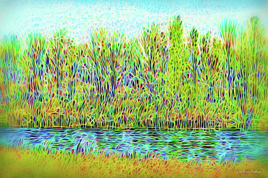 Crystal Reflection Flow Digital Art by Joel Bruce Wallach Crystal Reflection Flow Digital Art by Joel Bruce Wallach