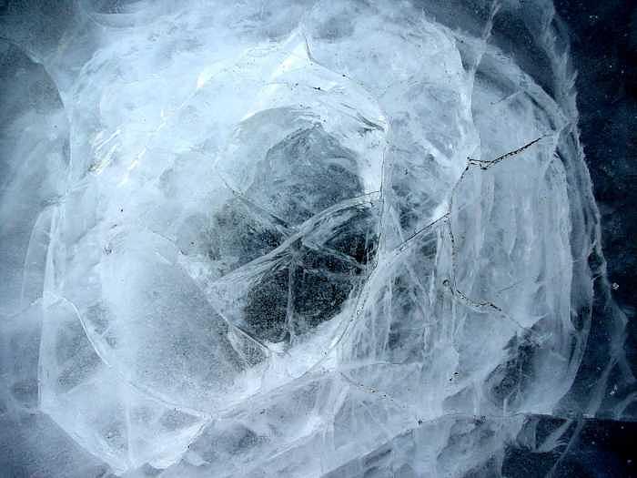 Contemporary Photograph - Crystal Rose by William Seguin Contemporary Photograph - Crystal Rose by William Seguin