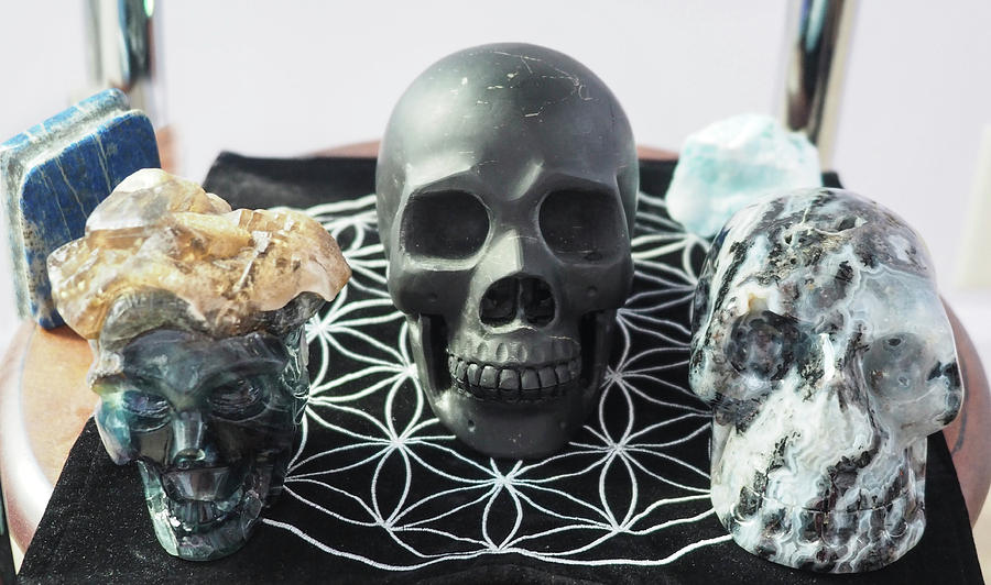 Crystal Skulls Michelangelo, Jesus and Xenia Photograph by Rebecca Dru
