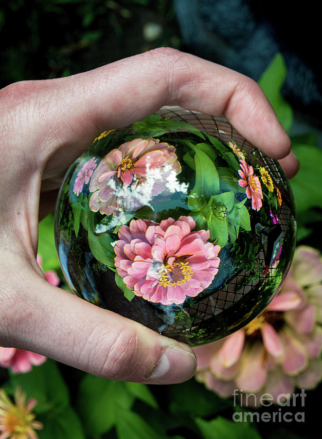 Crystalized Garden Photograph by Deborah Klubertanz